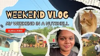 Weekend fun: sports selection, fun with pets and more!! THE CHANEL EFFECT 