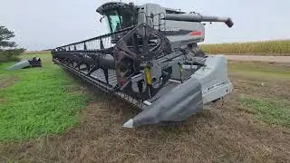 BigIron Auctions- House Agco 9250 DynaFlex Draper Header- November 2025
