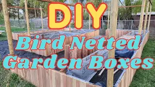 How to Build Bird / Deer  Proof Raised Garden Beds: Step-By-Step Walk Through