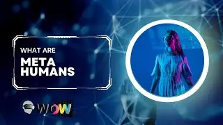 What are Meta Humans?
