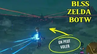 Zelda BOTW BLSS