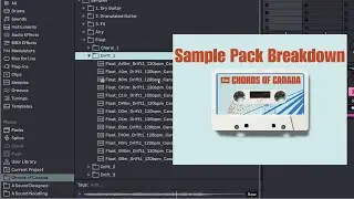 Ambient Acoustic guitar & Modular synth sample pack breakdown #ambient #lofi #cinematic #samplepack