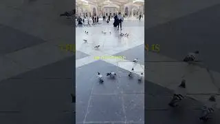 Next destination ✨🕌 #ikikumroh #umroh2026 #makkah #viral #shortsviral #foryoupage #madina