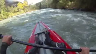 Teiton River Sea Tiger