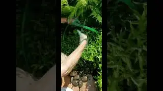 Recycle water for your garden!