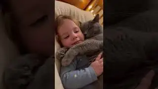 Heart-Melting Moment: Toddler in Star PJs Hugged by Clingy Grey Cat &ndash; Eyes Closed, Pure Joy! 🥹✨