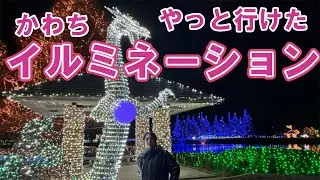 【初めて！夜の代表さんぽ】茨城県稲敷郡河内町へ！やっと見ることができたイルミネーション！