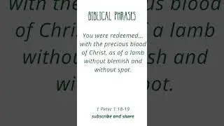 Bible Meditations #BiblicalReflections, #DivineWisdom, #UnshakableFaith 6