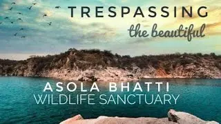 ⚠️ TRESPASSING | Asola Bhatti Wildlife Sanctuary | Closed for 2020 but we break-in | #absrides