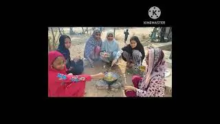 શાળા સ્થાપના દિન :બેગલેસ ડે વાનગી સ્પર્ધા 2025School Foundation Day:Bagless Day Cooking Competition 