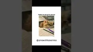 😂😂#memes#funny#fun#cat#shorts#music#video #viral#funnymemes #trending