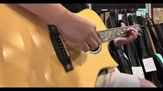 SRIYA Solid Top KS20 Golden Shadow Wood Acoustic Electric Guitar Pickup Fishman
