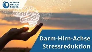 Wie die Darm-Hirn-Achse Deine Gesundheit steuert 🧠 Auszug aus dem Darm-Masterkurs