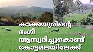 കോട്ടമല ഭാഗം 1 | കാക്കയൂർ | kottamala part 1