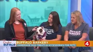 Daytime Buffalo: How Buffalo Barkery is supporting City of Buffalo Animal Shelter