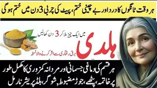 Motivational Islamic Quotes |Hazrat Ali Quotes  |Danai ki Baatein|Rumi Quotes Urdu | Healthy totkay