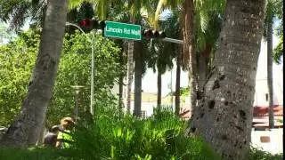 Lincoln Road