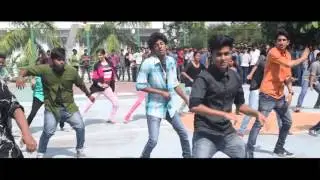 Flash Mob Regalia Arts Fest Nirmala College Muvattupuzha