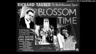Richard Tauber-Love Lost for Evermore