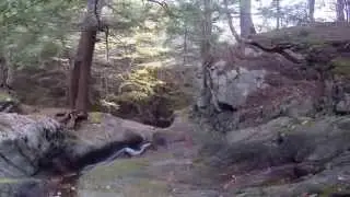 Clementsport Fall
