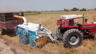 bajwa farmr zari alat