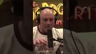 #joerogan cyclical patterns of human behavior and civilization