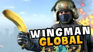 Das Leben als Wingman-Global | CS:GO Wingman Global Elite [Deutsch]
