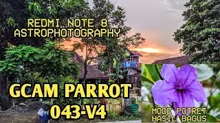 Terbaik Google Camera / Gcam Parrot043-V4 +Setting No Config || Mantul Redmi note 8