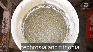 Use of tephrosia vogelli to control Aphids