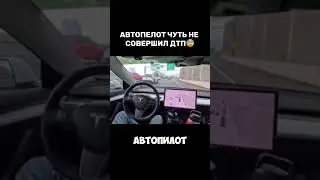 Автопилот подвел водителя Теслы.