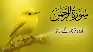 Surah Rahman Urdu Tarjuma k Sath | Qari Al Sheikh Abdul Basit Abdul Samad | Quran | Tilawat e Quran