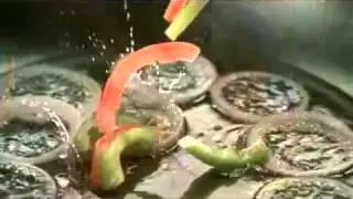 Dalda Cooking Oil New Ad 2013 ~ Dabba Khaali, Pet full