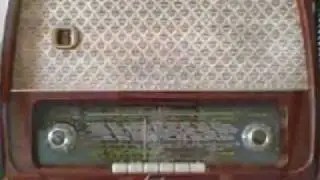 THE LADY ON THE RADIO TURNS ME ON ..by Woody Williams