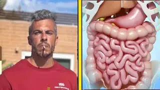 Brute De Force - Gut Health