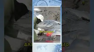 А вы бы согласились на такую работу?  #новости #news #subscribe #viral #fyp #shorts