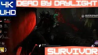 [4K] Dead by Daylight PALE ROSE Survivor Multiplayer Gameplay