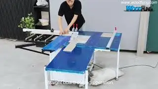 MJ09DP Professional Woodworking Table Saw Machine and Router Table Table Saw for Woodworking