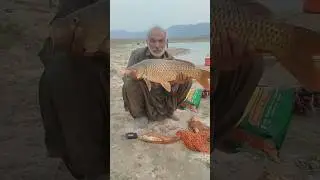 new update fishing khanpur Dam #fishing #fish