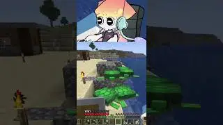 Turtle Pile | #thesquidsterling on #Twitch