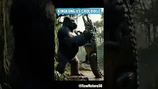 King Kong vs Crocodile &ndash; Brutal Fight for Survival