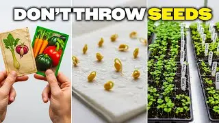 12 Seeds That Store for Years &mdash; Perfect for Long-Term Garden Planning