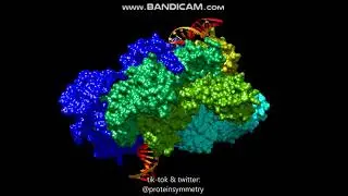 7TJF - Protein-DNA complex