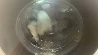 Grundig FIBERCatcher mini 40 express x2 extra rinse (THE FINAL WASH I DONE WITH LOTS OF GLITCHING)