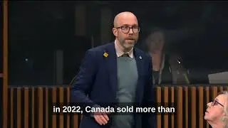 Calling for an embargo on military exports to Israel