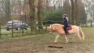 Dit gebeurde toen er een fan langs kwam... | Verhuismas #251