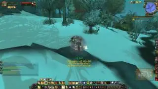 Let Nothing Go To Waste Quest ID 11985 Playthrough Dragonblight
