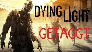 Ich wurde getaggt - GamerscheckLP