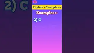 Phylum Ctenophora || Animal Kingdom|| Examples || Scientific name with Pictures || NEET 2025 Biology