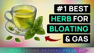 Drink This For Bloating & Gas (#1 Best Herb For Bloating)