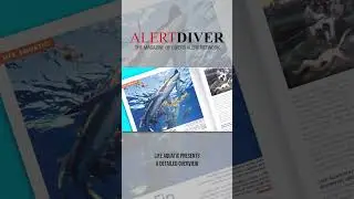 DAN Alert Diver Magazine &ndash; Q4 2025 #scubadiving #diversalertnetwork #underwaterphotography #scuba
